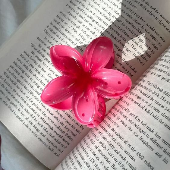 Set of 4 Clips and Polaroids - Image 3